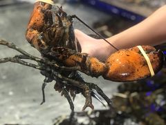 -浩运海鲜·16年专注青岛菜(石老人店)