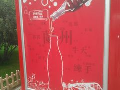 -水车博览园