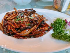 -新聚丰菜馆(太监弄店)