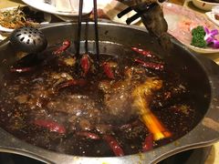 -田鸭肠·非遗火锅(彭州店)