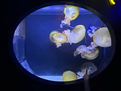 -珠海长隆海洋王国