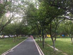 -西北湖绿化广场