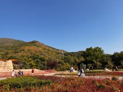 -北京十三陵国家森林公园蟒山景区