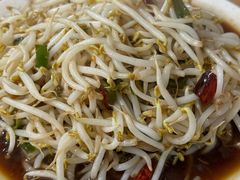 呛绿豆芽-三中高皇羊肉馆
