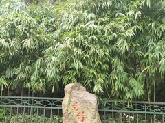 -杭州黄龙洞