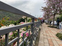 -小南山公园