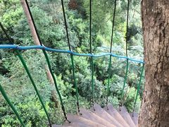 -清迈丛林飞跃 JungleFlight