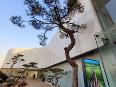 -罗红摄影艺术馆