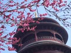 -圆通寺
