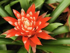 -北京植物园-展览温室