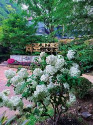 -尚圣月子会所·庄园式月子中心(萧山湘湖店)