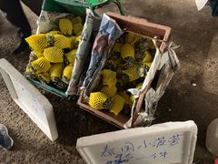 -曼阁市场水果批发市场