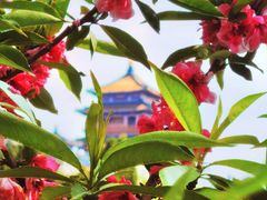 -莲花池公园