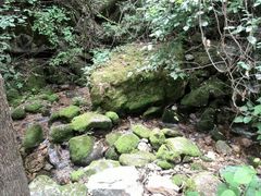android_upload_pic-陕西省红河谷森林公园