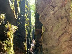 -梭布垭石林景区