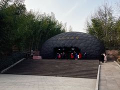 -中国西峡恐龙遗迹园