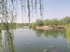 -马家湾湿地公园