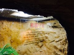 -南昌海洋公园