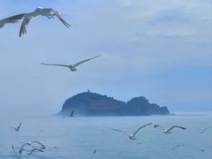 -海驴岛(荣成市)