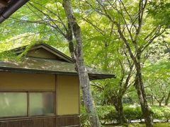 -西芳寺(苔寺)