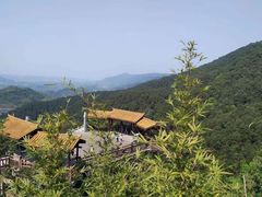 -铁山坪森林公园