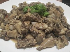 -杨记新泉美食
