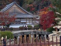 -天龙寺