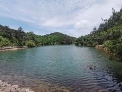 -四明山国家森林公园
