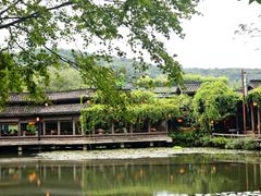 -龙井壹号·茶缘山景宴(龙井村店)