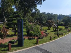-东莞植物园