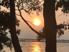 -宝安西湾红树林湿地公园