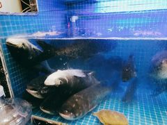 -姜君·千岛湖鱼头馆(浦东大道店)