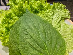 -肉加韩国料理·烤肉(金茂湾店)