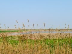-鄱阳湖国家湿地公园