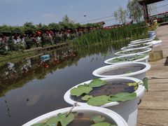 -同銮特种养殖场·龙虾垂钓