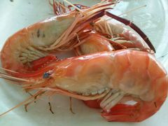 白灼罗氏虾-湿地轩