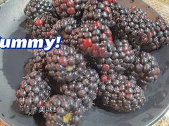 -二当家牛肉串串(教育路店)