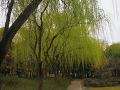 -颐景园