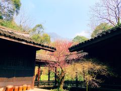 -黄公望隐居地