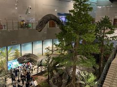 -湖南省地质博物馆