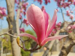 -北京西山国家森林公园