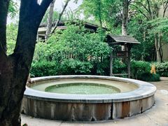 -张家港金凤凰度假村温泉