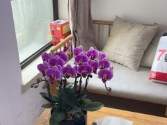 -张钰强中医正骨推拿连锁(华发商都店)