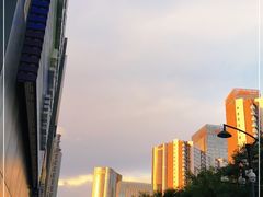 -新荟城(望京店)