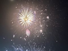 -花博汇(知音花月夜)