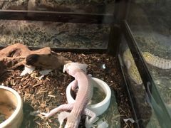 -藦茜花园宠物主题亲子互动体验馆(国顺东路店)