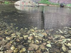 -雁荡山三折瀑景区