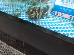 -家乐福(古北店)