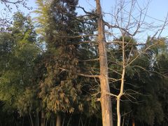 -乌石村