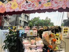 -溪岸路花鸟市场